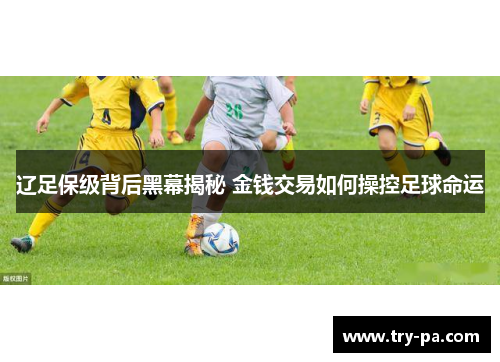 辽足保级背后黑幕揭秘 金钱交易如何操控足球命运