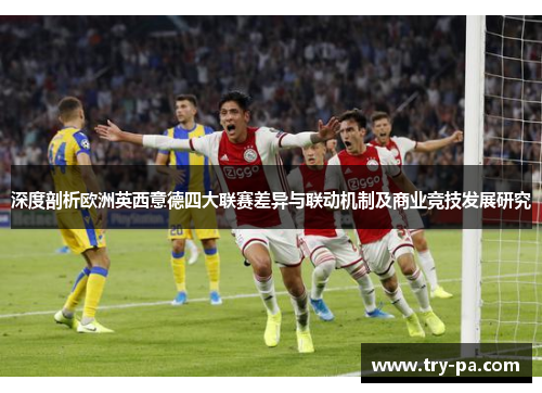 深度剖析欧洲英西意德四大联赛差异与联动机制及商业竞技发展研究