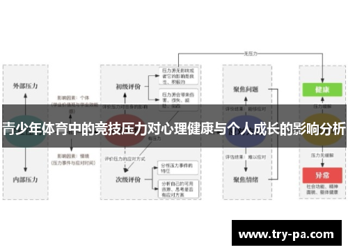 青少年体育中的竞技压力对心理健康与个人成长的影响分析