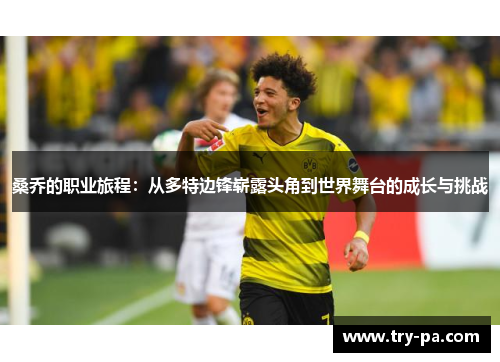 桑乔的职业旅程：从多特边锋崭露头角到世界舞台的成长与挑战