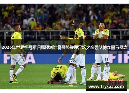 2026年世界杯冠军归属预测谁将最终登顶足坛之巅强队博弈黑马悬念