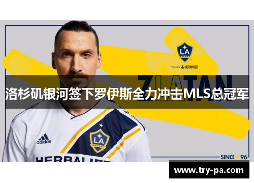 洛杉矶银河签下罗伊斯全力冲击MLS总冠军